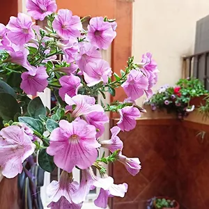 apartamento-la-reina-cordoba.es-andalucia.com/